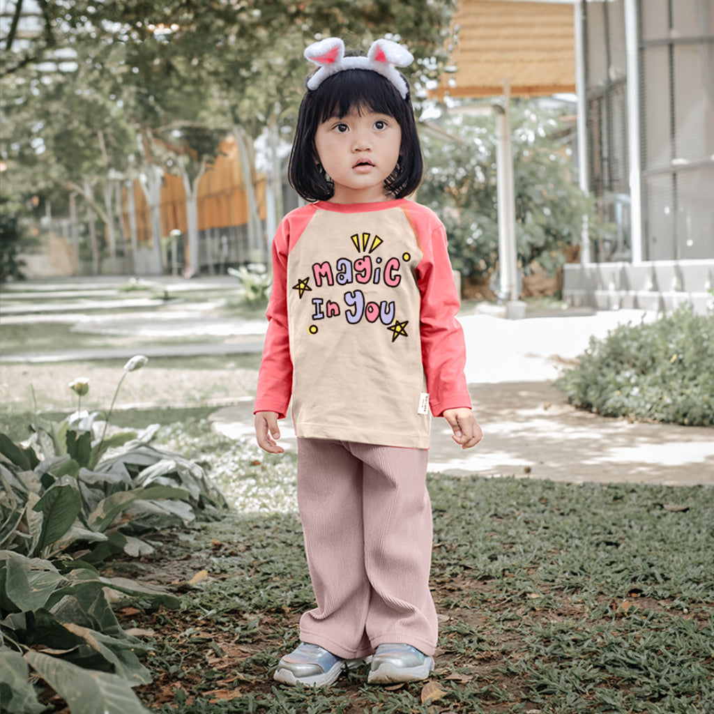 Kaos Lengan Panjang Raglan